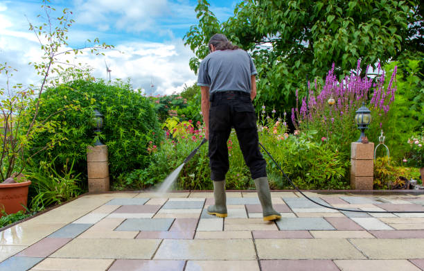 Best Roof Cleaning and Mildew Removal in Highland Lakes, NJ